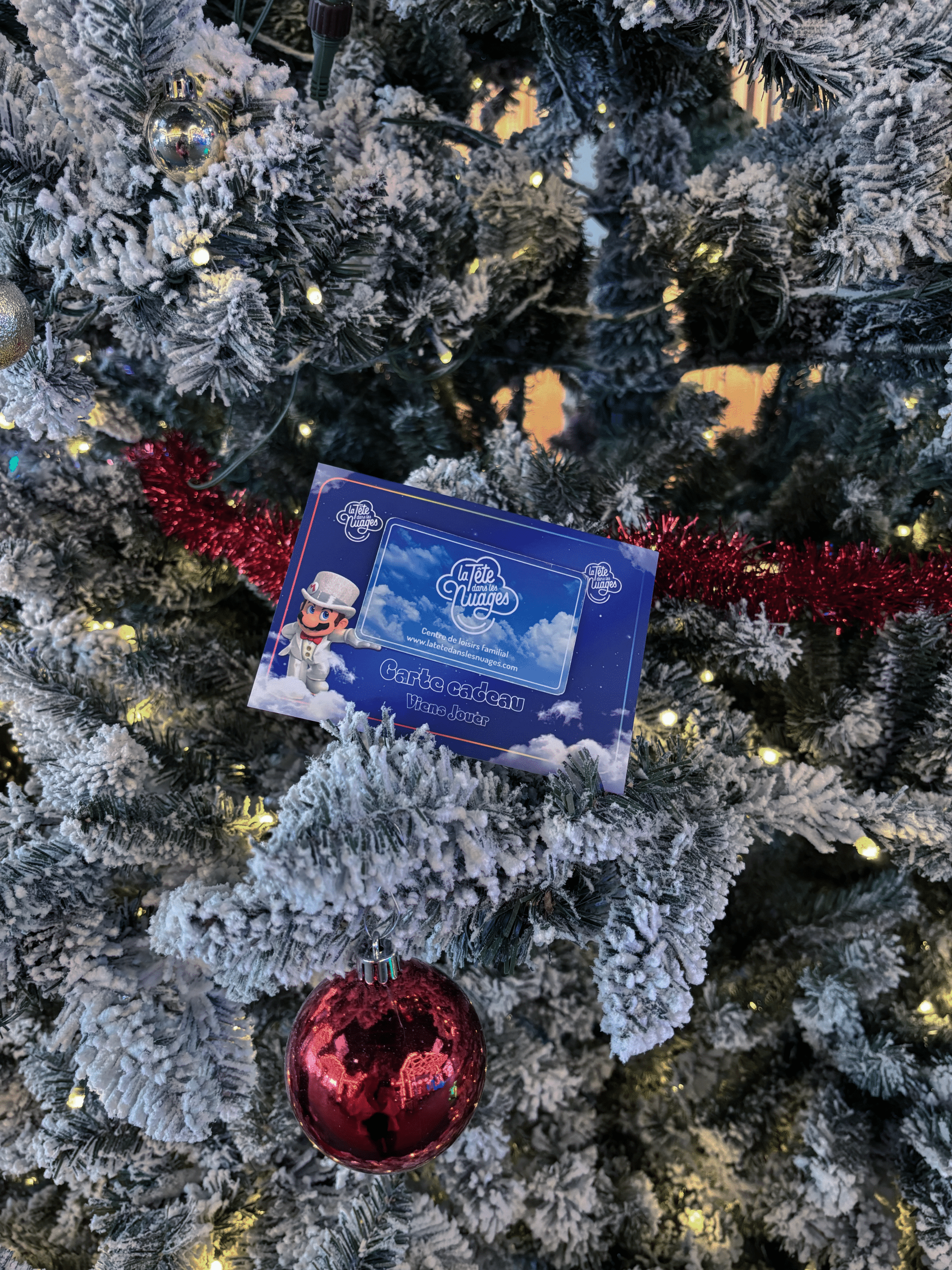 Cartes cadeaux La Tête dans les Nuages pour Noël